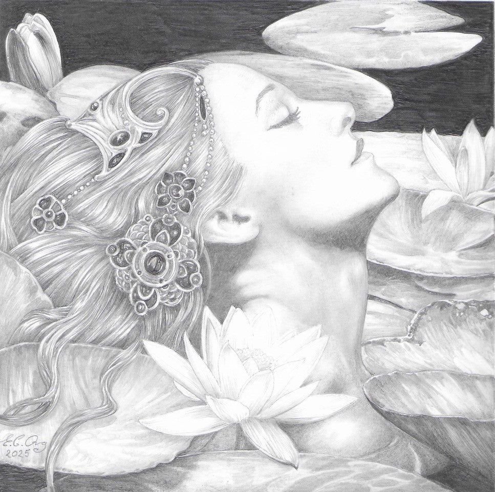 Water Lily 1 - Original Pencil Drawing by Ed Org