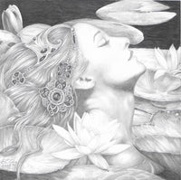 Water Lily 1 - Original Pencil Drawing by Ed Org