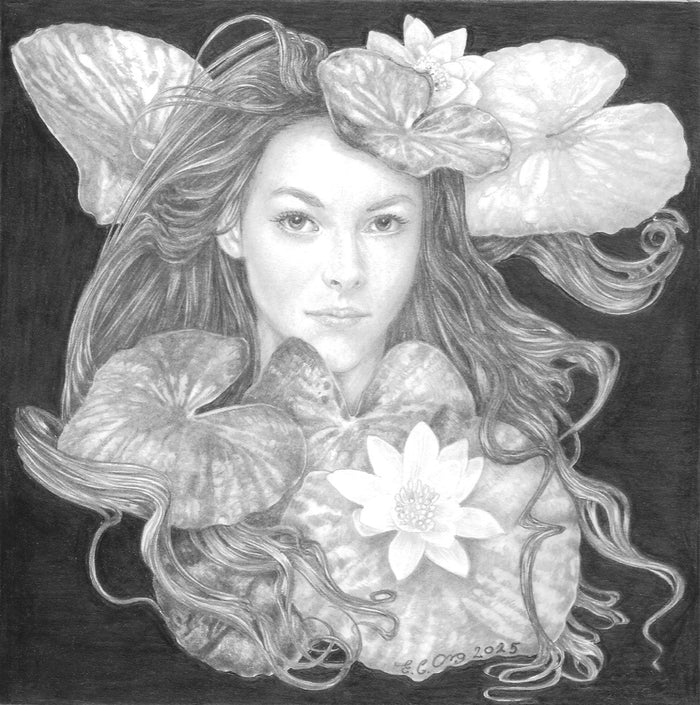 Water Lily II - Original Pencil Drawing by Ed Org