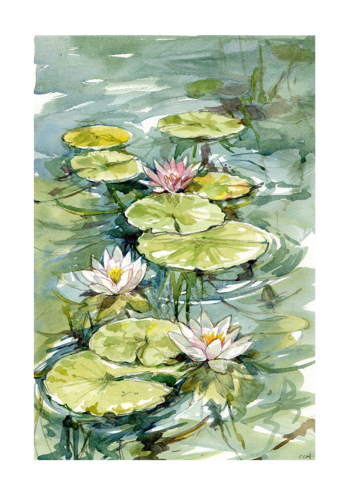 Watercolor painting of water lilies on a pond