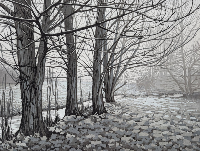 Winter landscape with bare trees and a foggy path