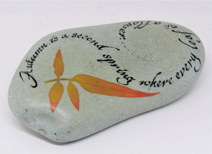 Hand painted stones by Alexis Penn Carver