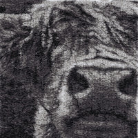 Hielan the Highland Cow by Catherine Browne