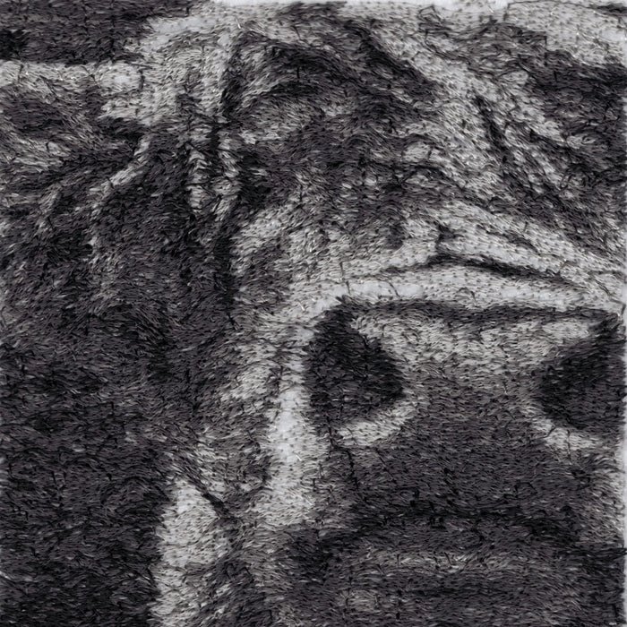 Hielan the Highland Cow by Catherine Browne