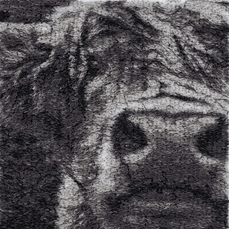 Hielan the Highland Cow by Catherine Browne