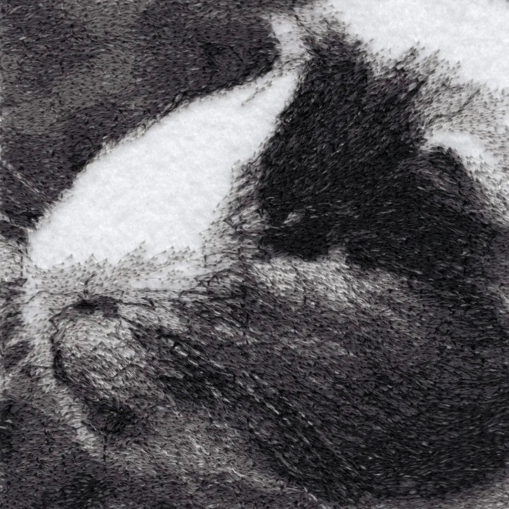 Merswim the Guinea Pig by Catherine Browne