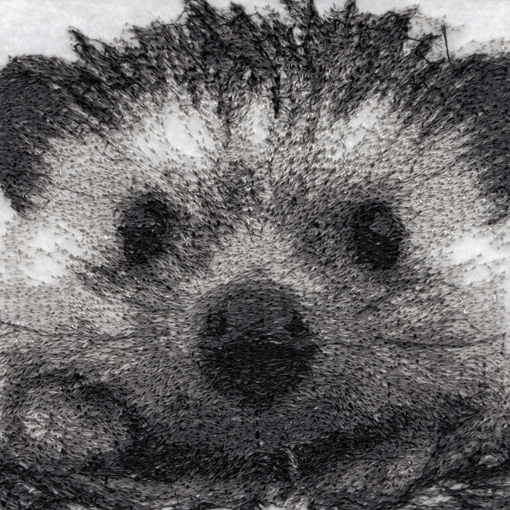 Mr Prickles the Hedgehog by Catherine Browne