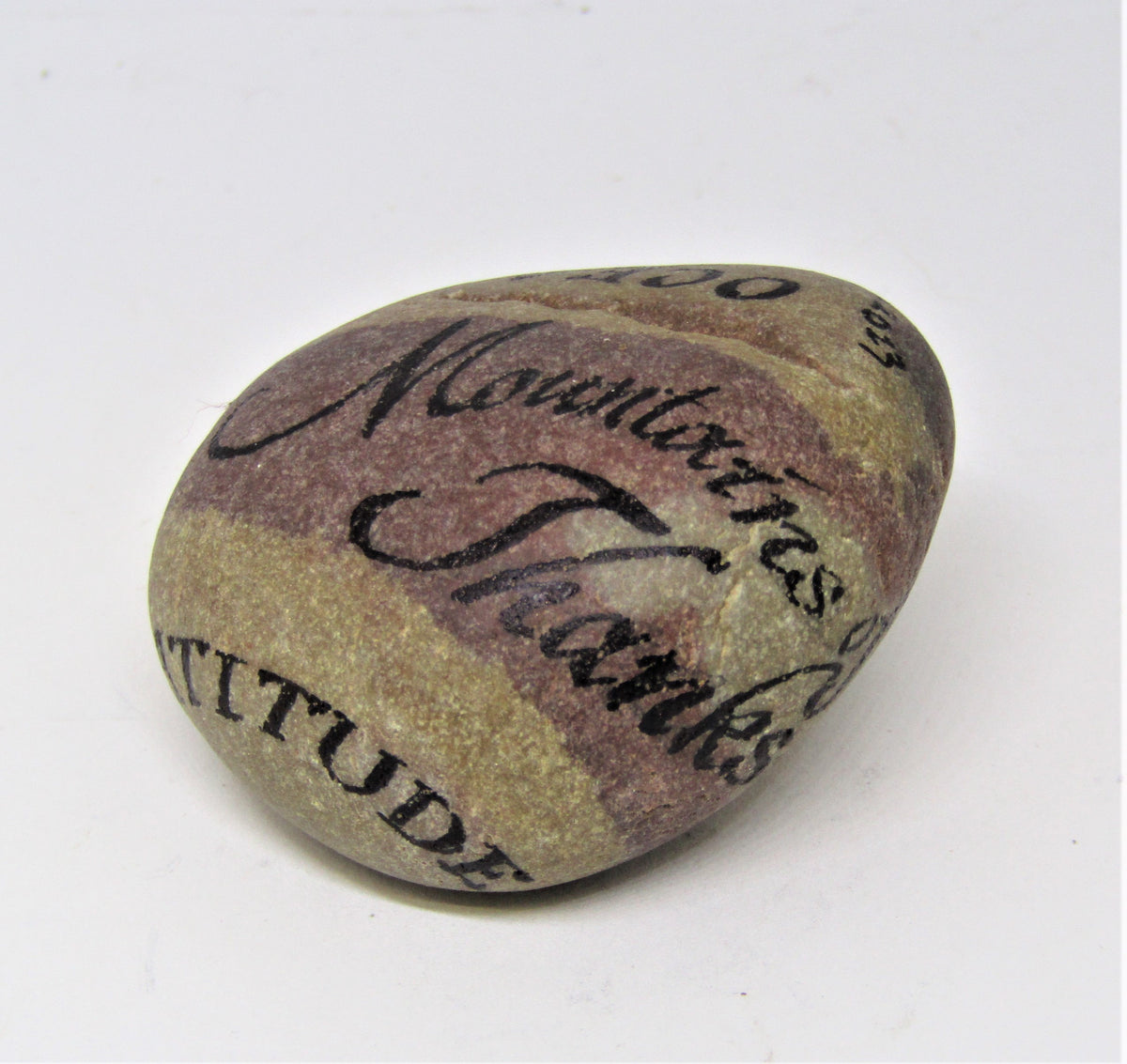 Hand Painted Stone by Alexis Penn Carver