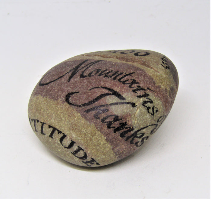 Hand Painted Stone by Alexis Penn Carver