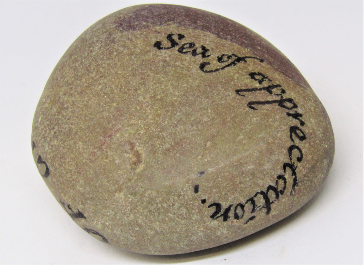 Hand Painted Stone by Alexis Penn Carver