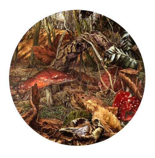 Ed Org Prints – Obsidian Art