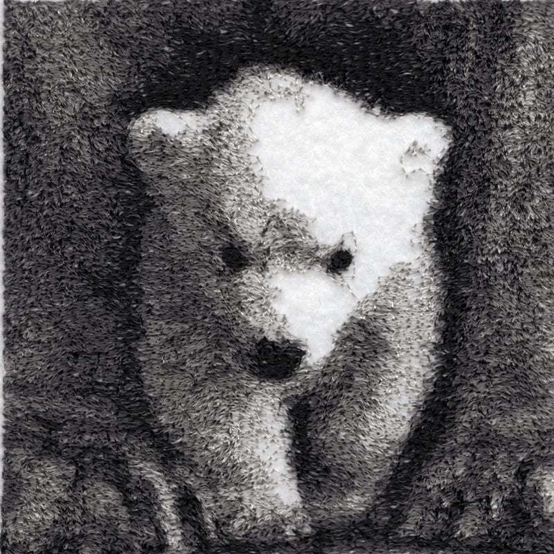 Maritimus the Polar Bear by Catherine Browne