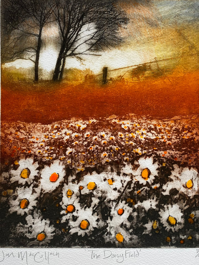 The Daisy Field limited edition etching by Ian MacCulloch