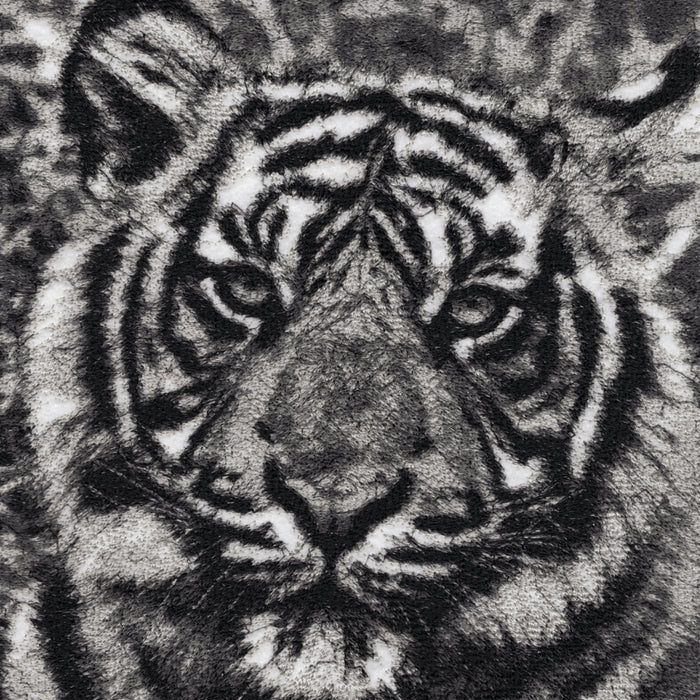 Indra the Tiger by Catherine Browne
