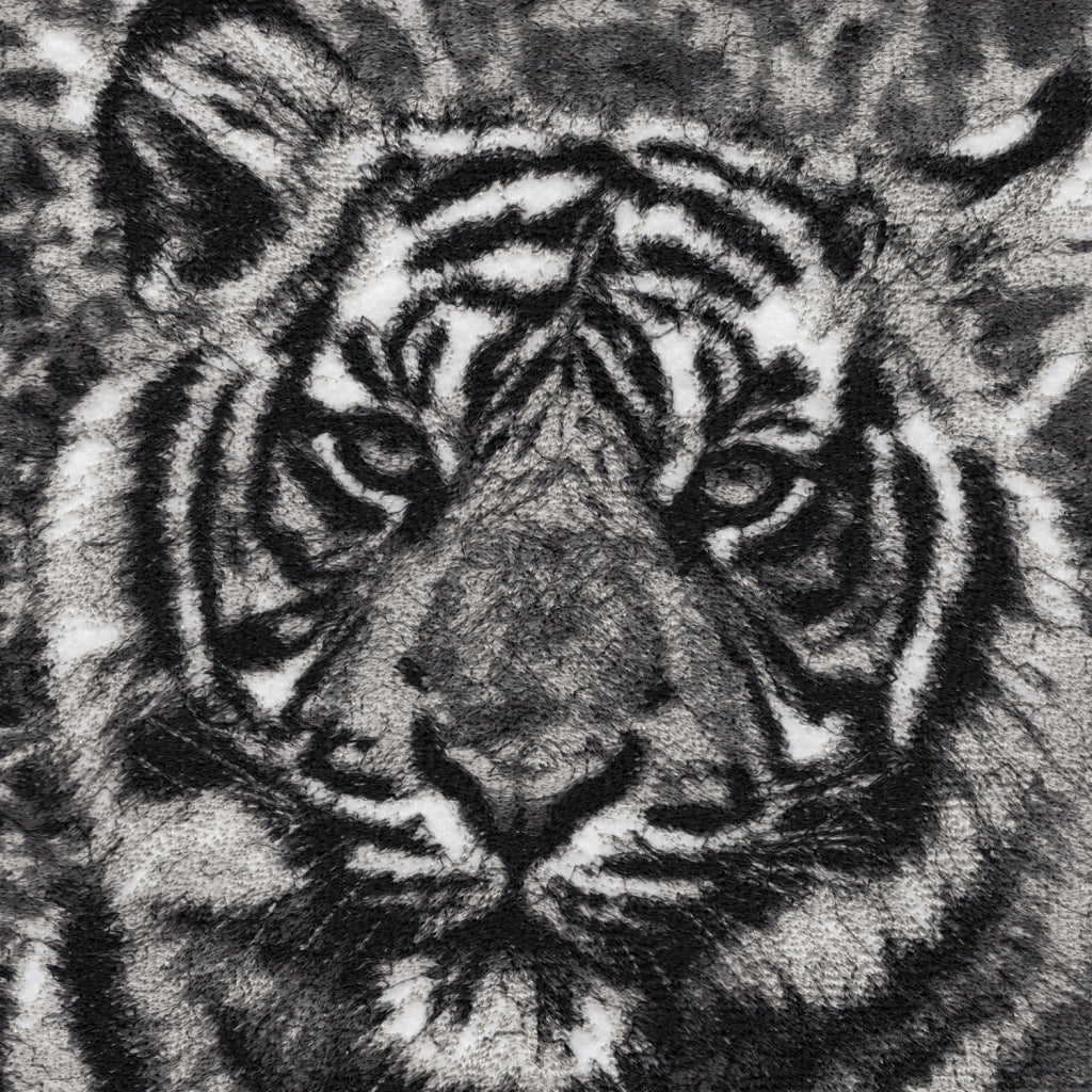 Indra the Tiger by Catherine Browne