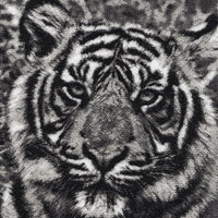 Indra the Tiger by Catherine Browne