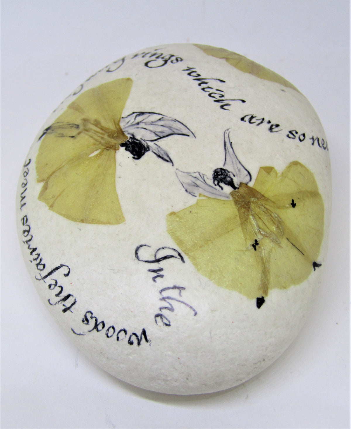 Hand Painted Stone by Alexis Penn Carver