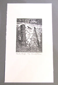 Wood Engraving by Edward Stamp