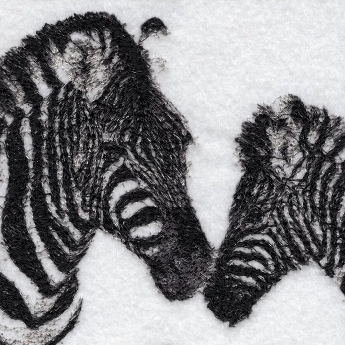 Punda and Milia the Zebras by Catherine Browne