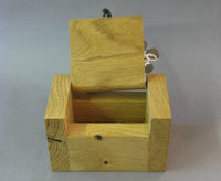 Oakleaf Mini Box, Maxine Hunt