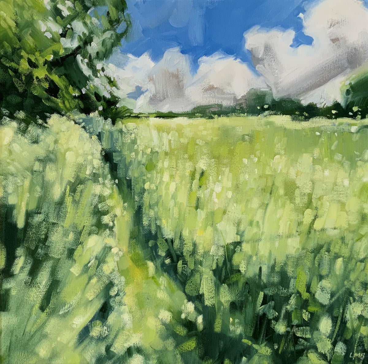 Top Field in the Sun by Laura Bardell