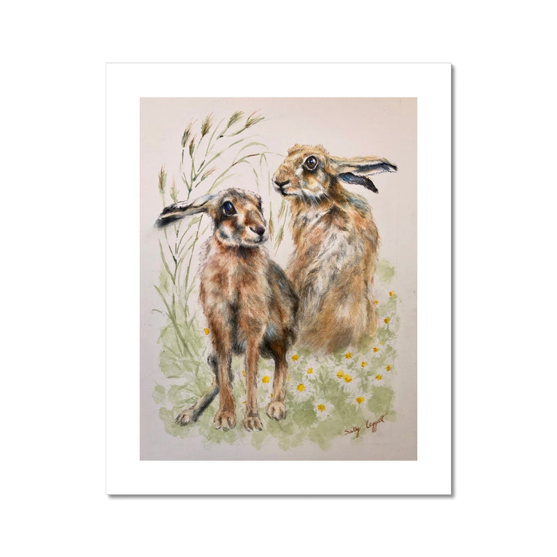 Two Hares Fine Art Print by Sally Leggatt
