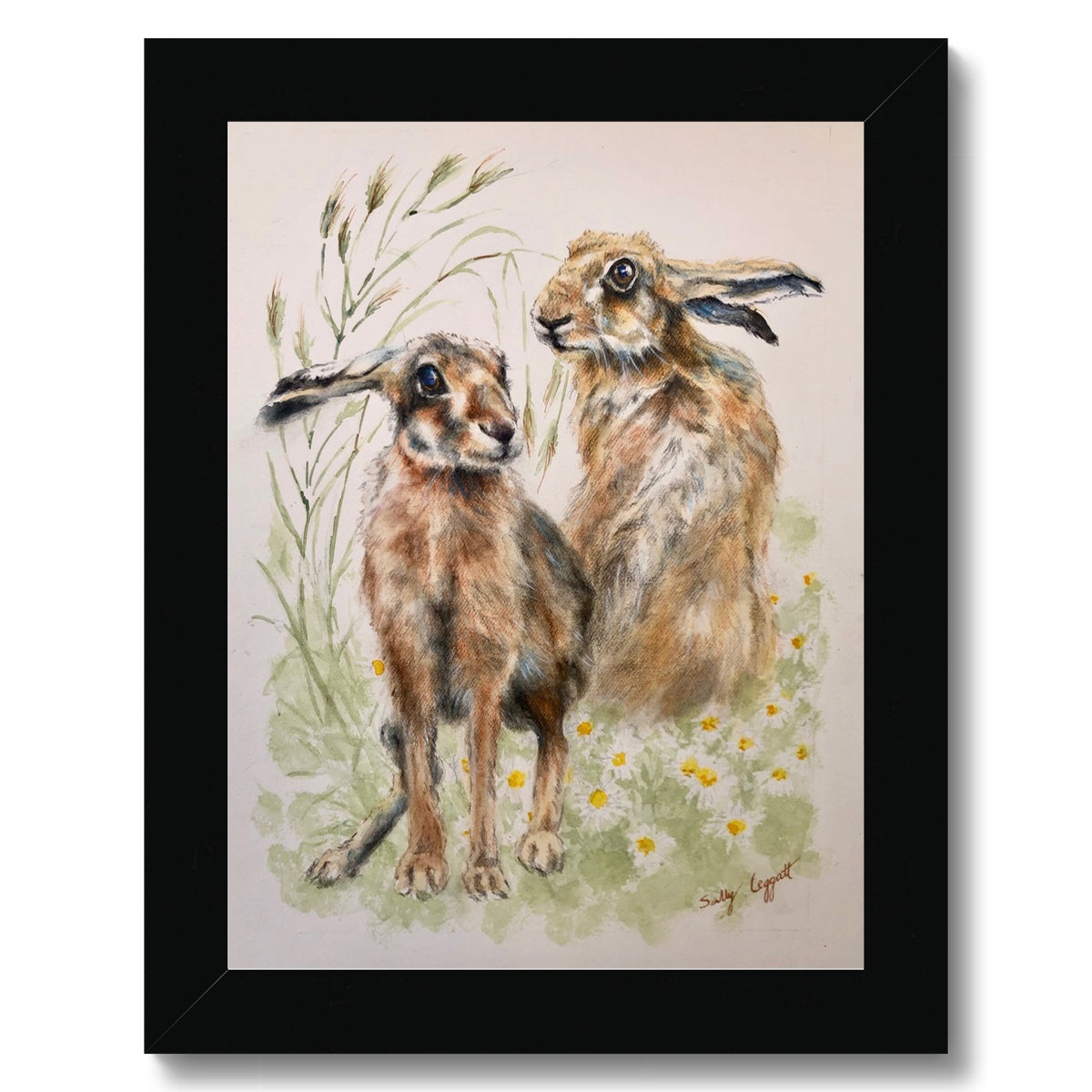 Two Hares by Sally Leggatt - Framed Print