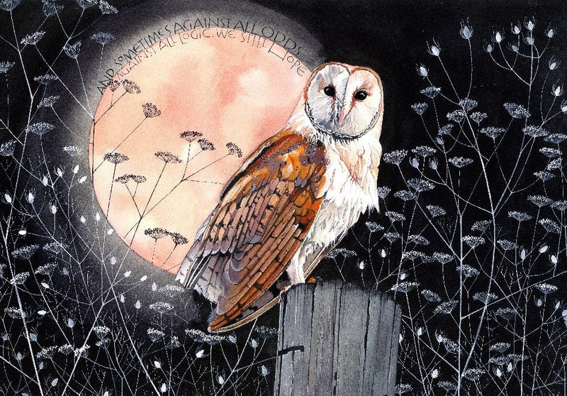 Barn Owl by Sam Cannon