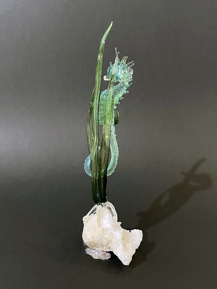 Glass seahorse on quartz by Sandra Young