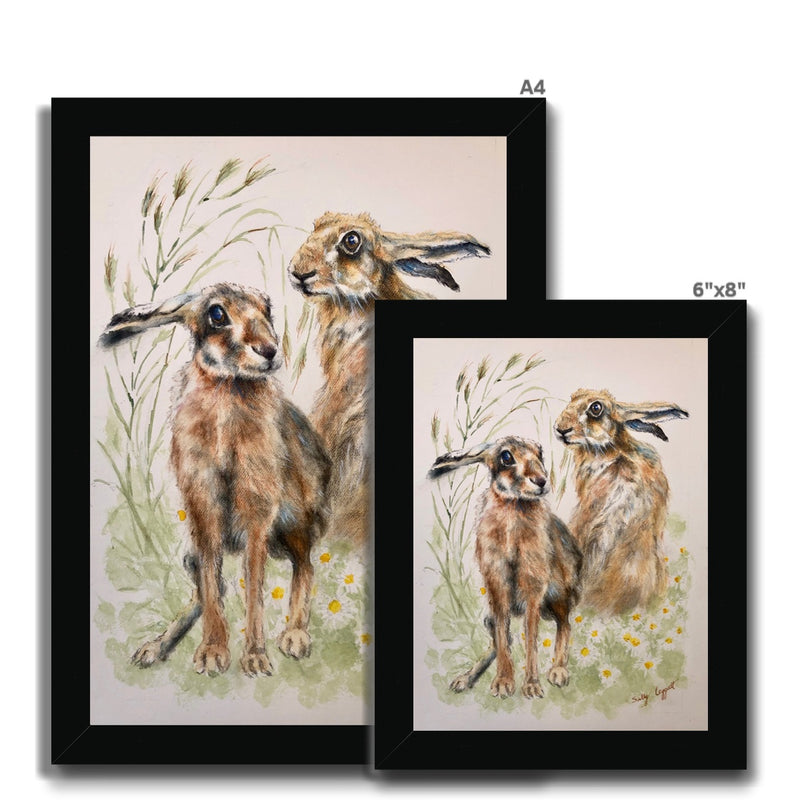 Two Hares by Sally Leggatt - Framed Print