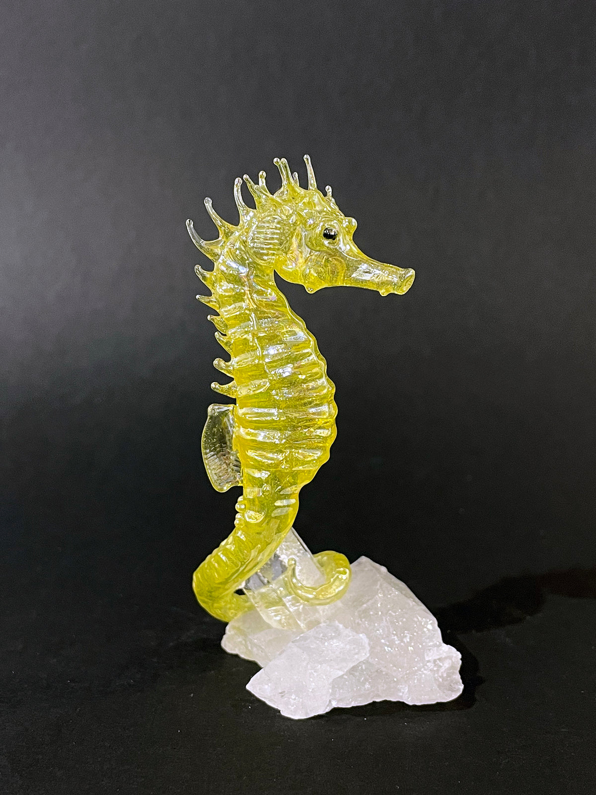 Glass seahorse on quartz by Sandra Young