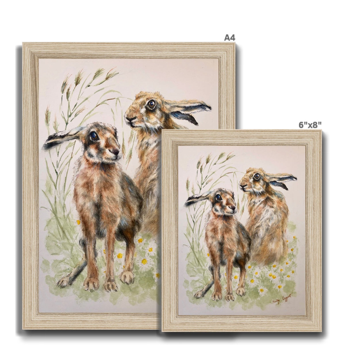 Two Hares by Sally Leggatt - Framed Print