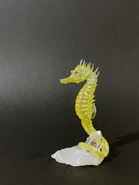 Glass seahorse on quartz by Sandra Young