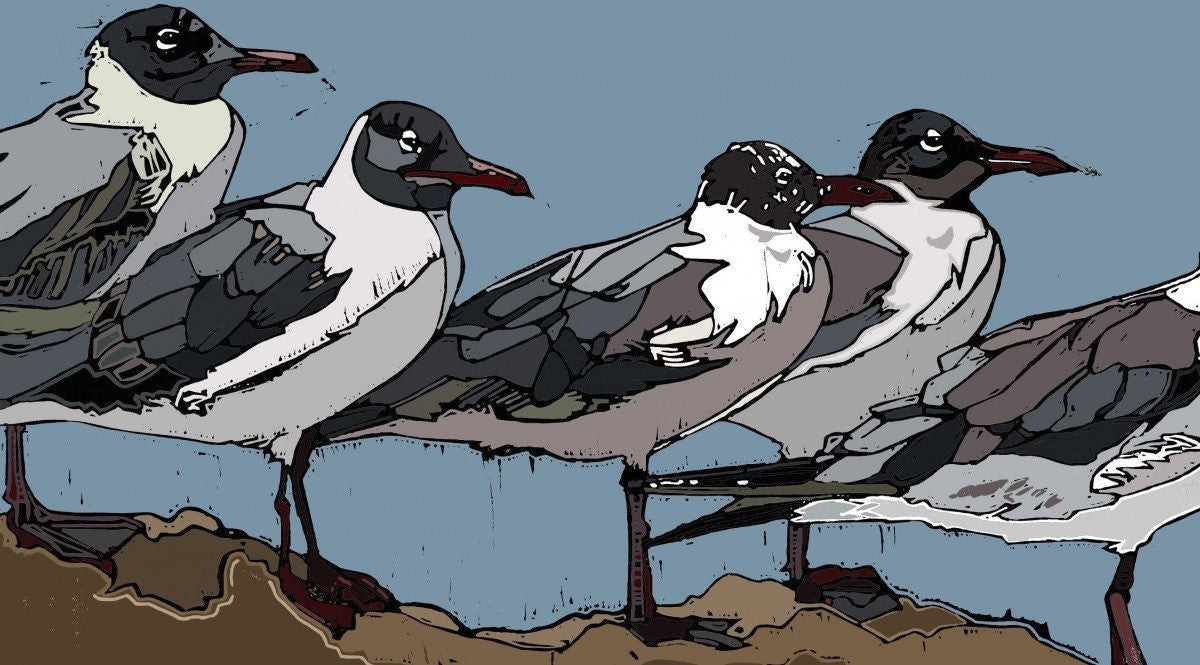 A Colony of Gulls - linocut by Jennie Cator