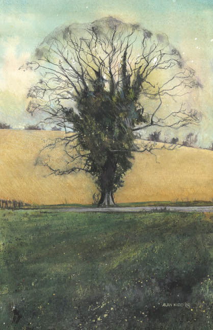 The Big Tree by Alan Kidd
