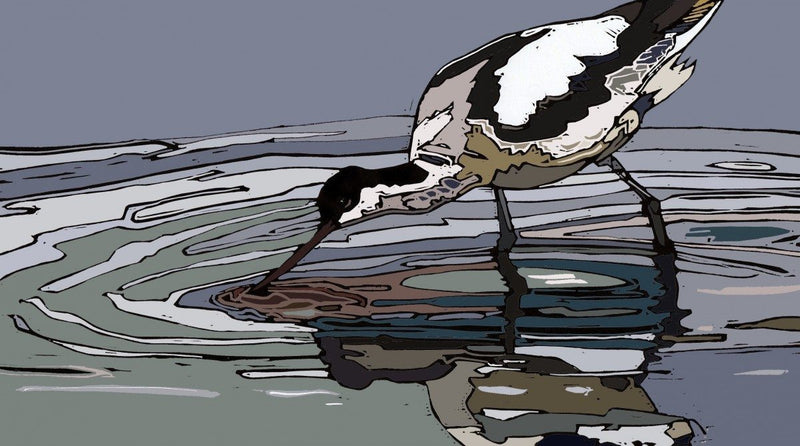 Avocet Feeding - linocut by Jenni Cator