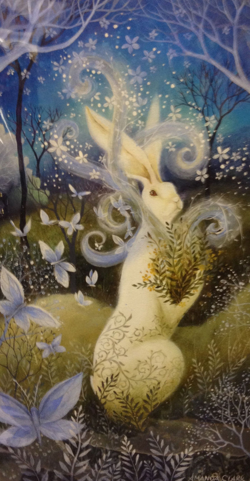 Abundance by Amanda Clark