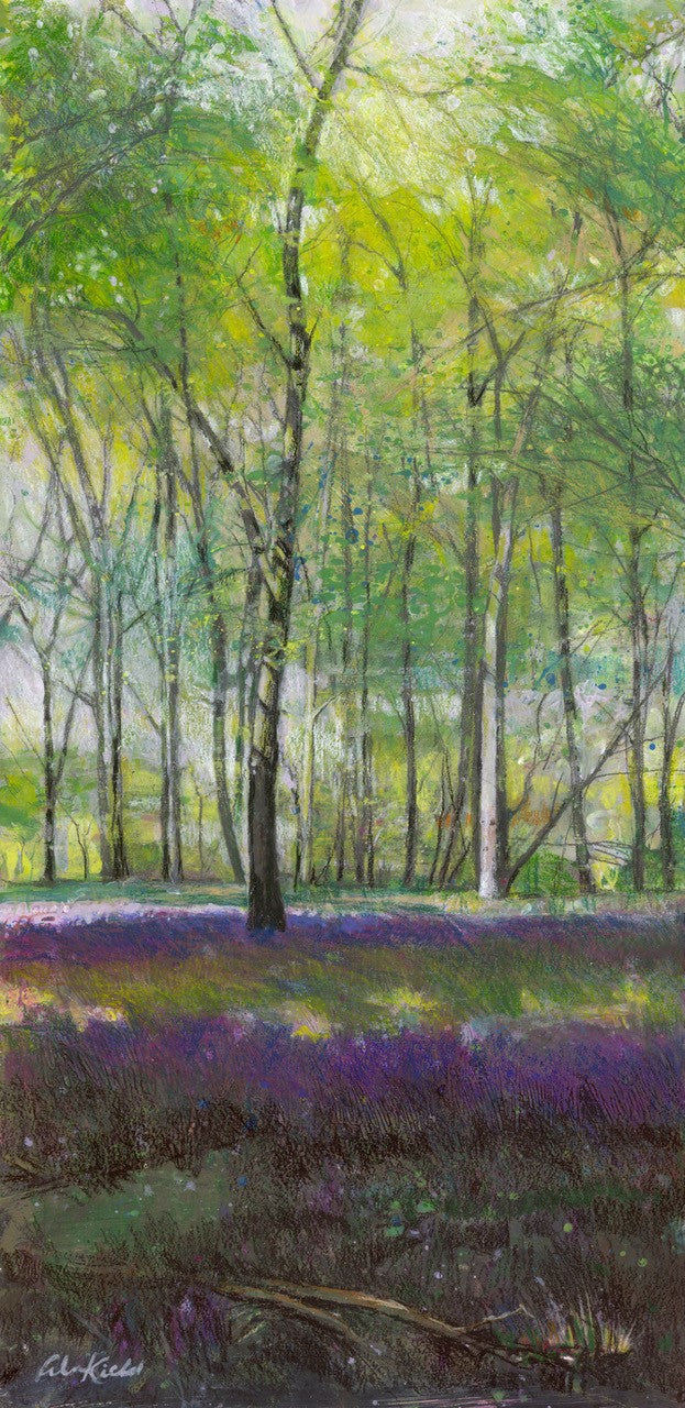 Bluebells on Aston Hill