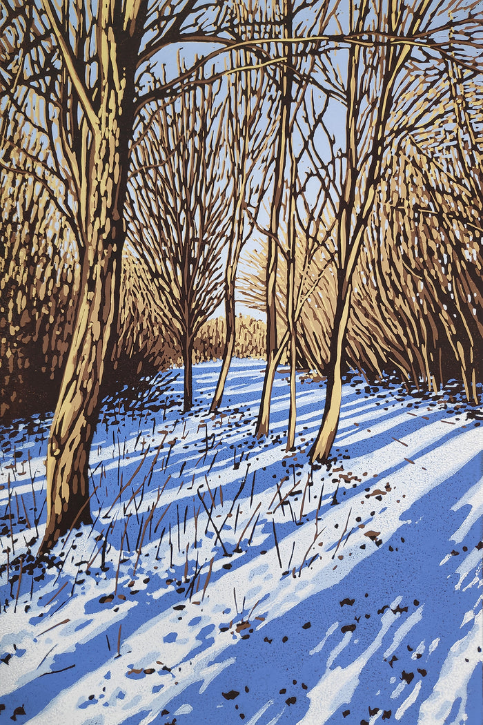 Snow Shadows by Alexandra Buckle
