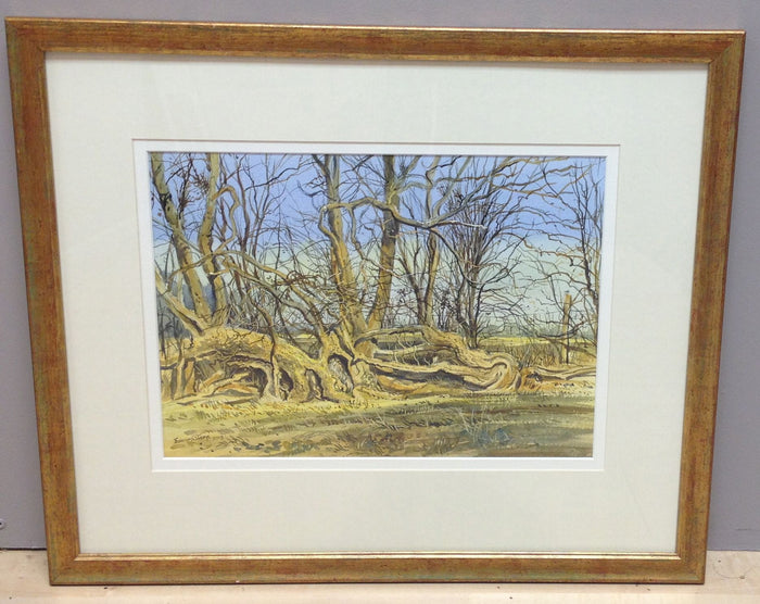 Ash and Thorn by Edward Stamp RI
