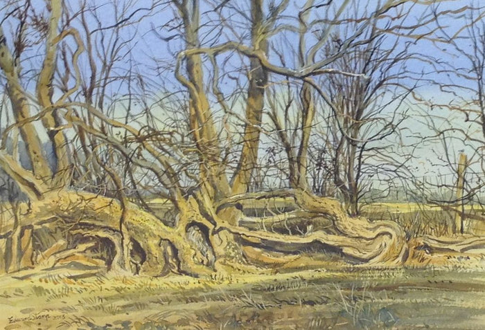 Ash and Thorn by Edward Stamp RI