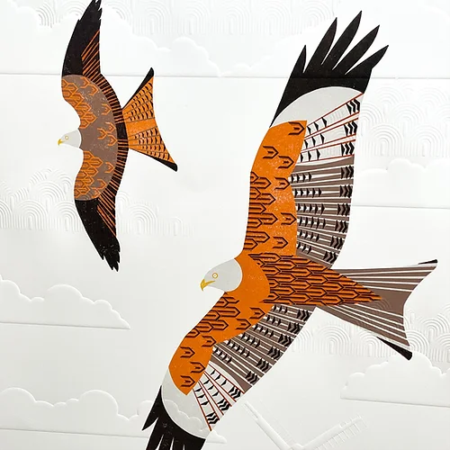Red Kites over the South Downs by Ashley Hutchinson