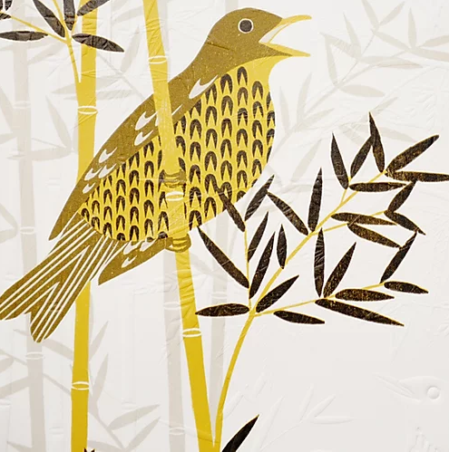 Thrush in Bamboo By Ashley Hutchinson
