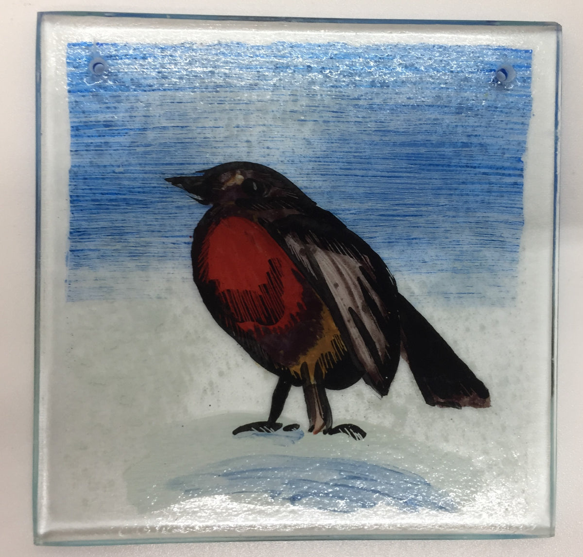 Robin 1, Painted stained glass by Bryan Smith
