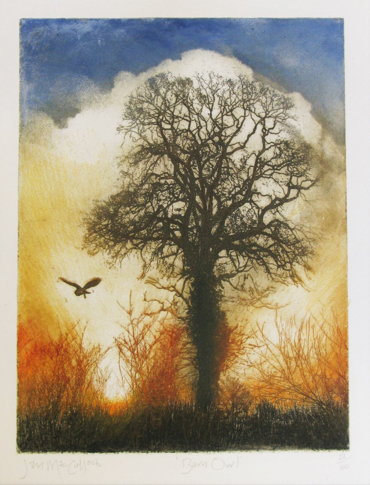 Barn Owl Etching by Ian MacCulloch