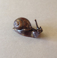 Bronze Snail by David Meredith