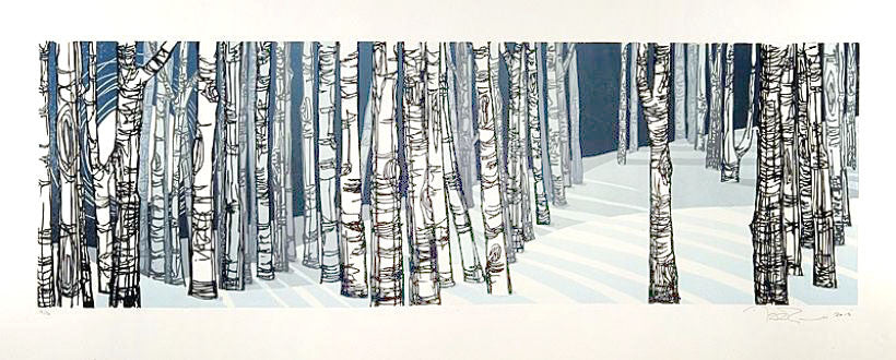 Birch and shadow by Laura Boswell