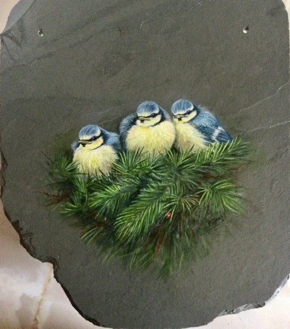 Bluetit Fledgelings - Painting on Slate by Rosemary Timney