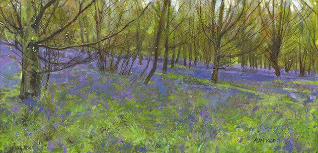 Bluebells at Stanmer Park by Alan Kidd