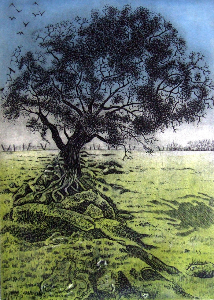 Bodmin Moor by Diana Ashdown